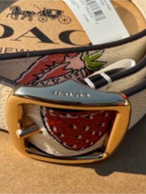 Coach Gold-Tone Buckle Canvas Belt with Red Strawberry Motif